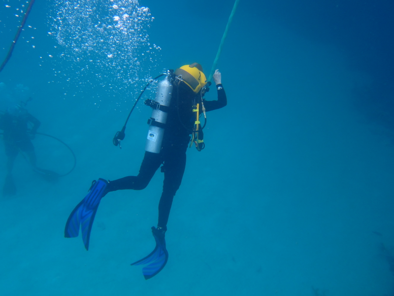 Illustration for article titled How to Become an Aquanaut